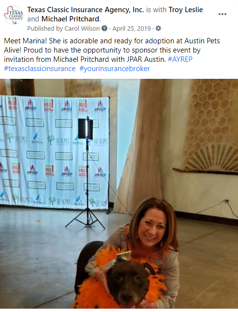 Austin Pets Alive Rescue Charity